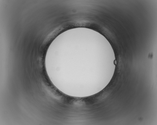 X0000112850258200909181743