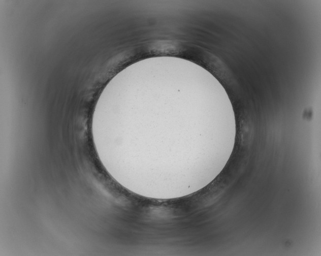 X0000112850259200909181743