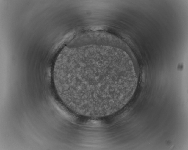 X0000112850260200909181743