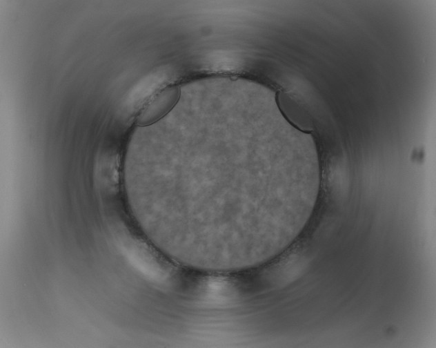 X0000112850264200909181743