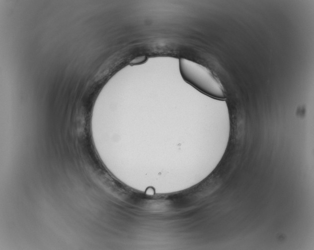 X0000112850266200909181743