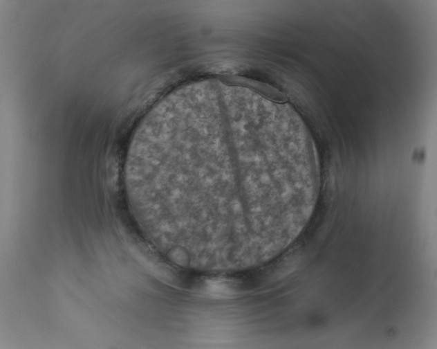 X0000112850268200909181743