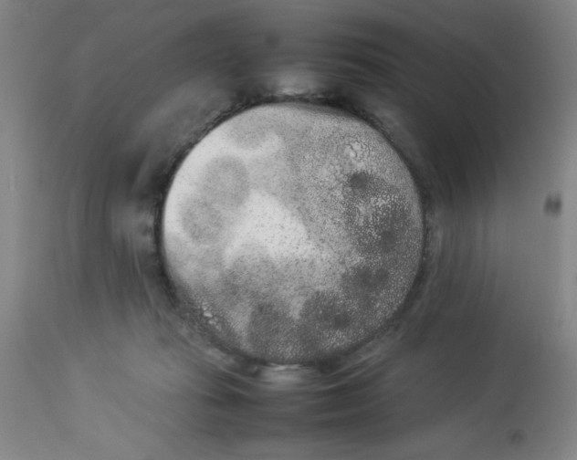 X0000112850269200909181743