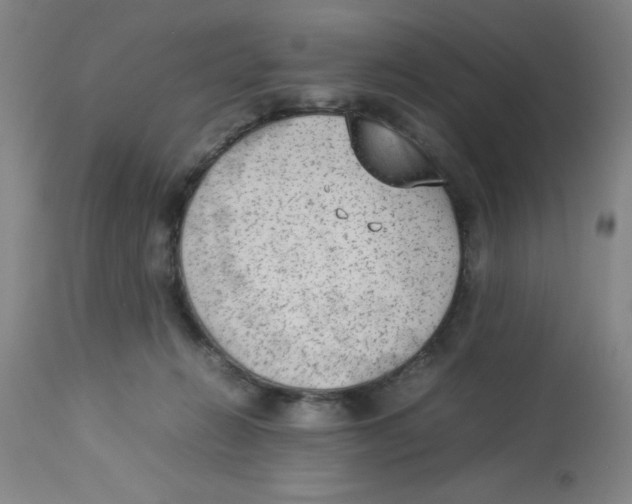 X0000112850270200909181743