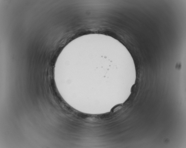 X0000112850272200909181743