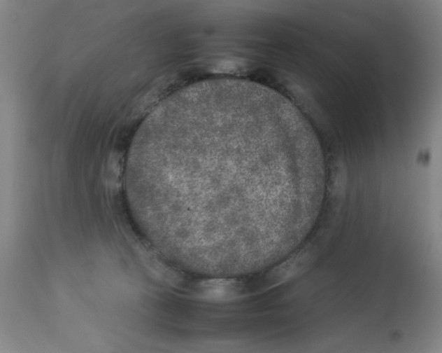 X0000112850273200909181743