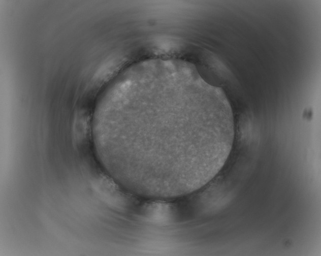 X0000112850276200909181743