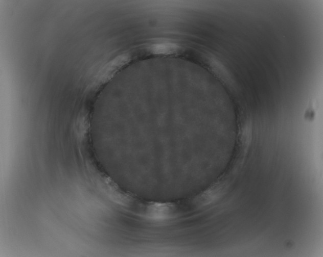 X0000112850277200909181743