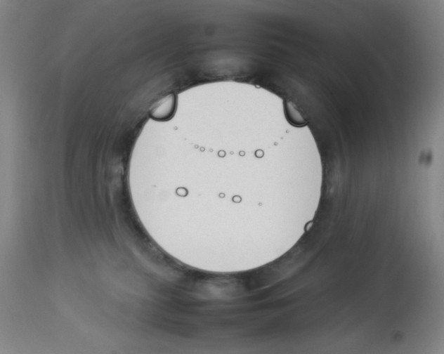 X0000112850279200909181743