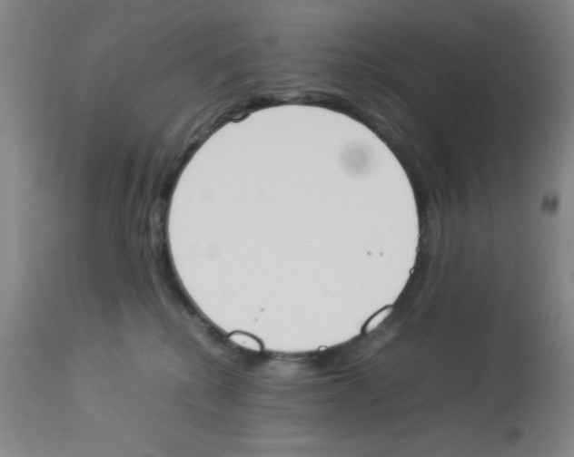 X0000112850280200909181743