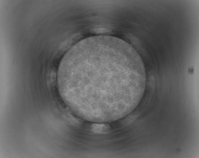 X0000112850281200909181743