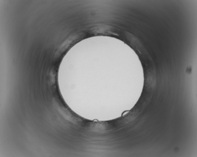 X0000112850282200909181743