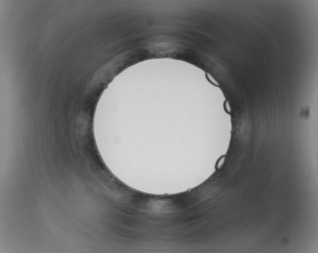 X0000112850283200909181743