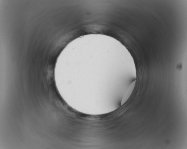 X0000112850284200909181743