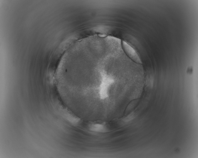 X0000112850285200909181744