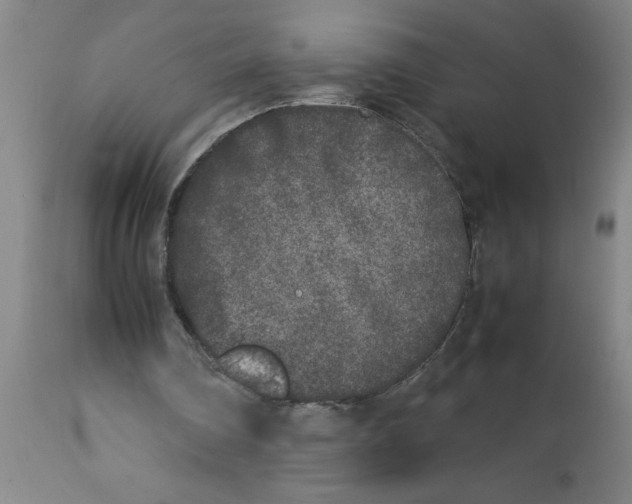 X0000112850290200909181743