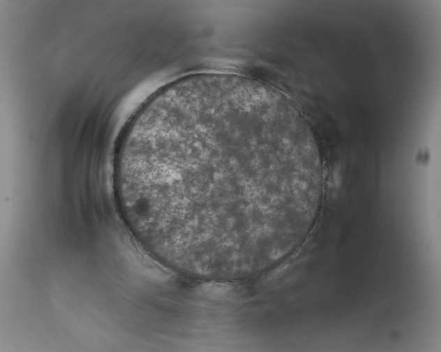 X0000112850294200909181743