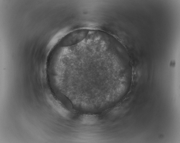 X0000112850296200909181743