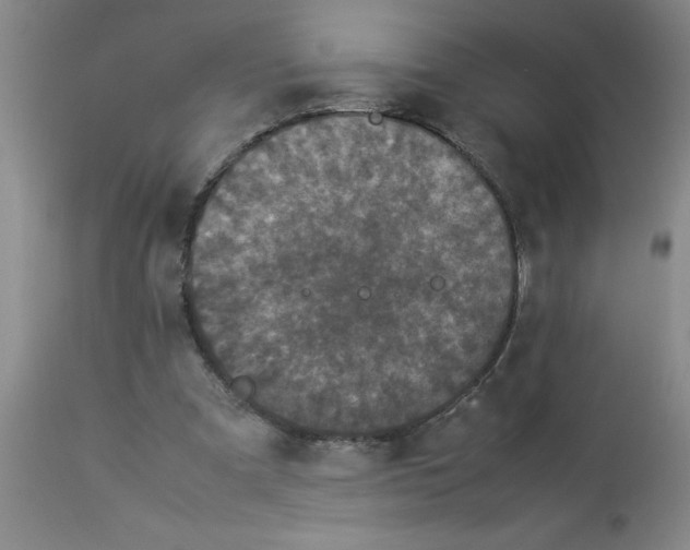 X0000112850297200909181743