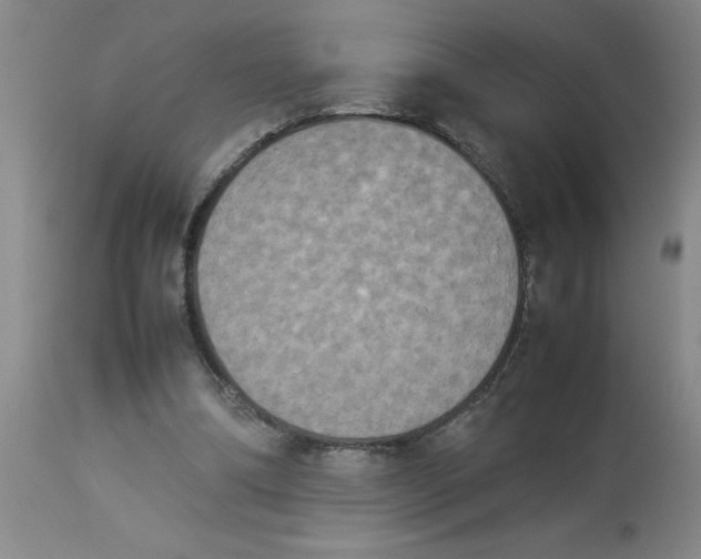 X0000112850298200909181743