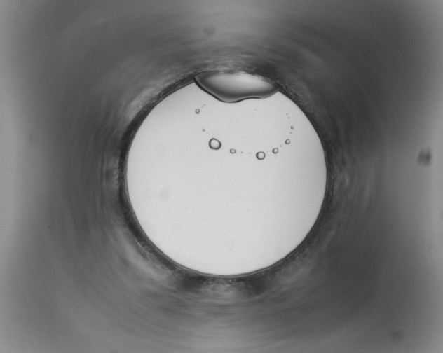 X0000112850299200909181743