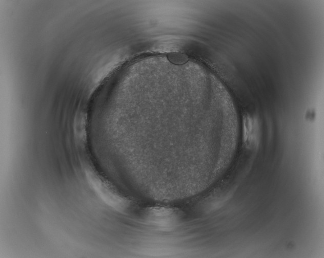 X0000112850300200909181743