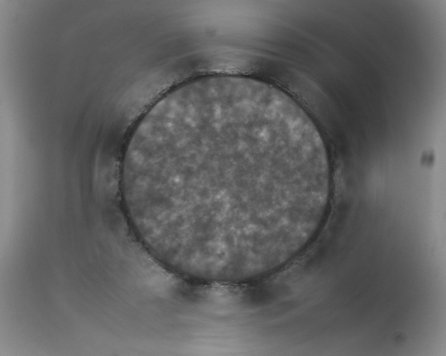 X0000112850305200909181743