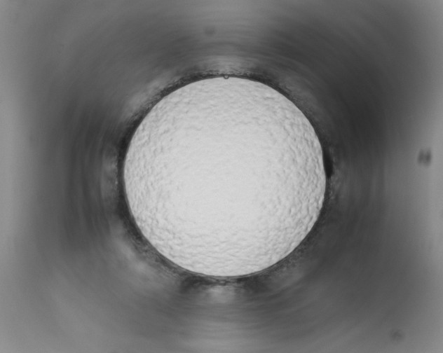 X0000112850306200909181743