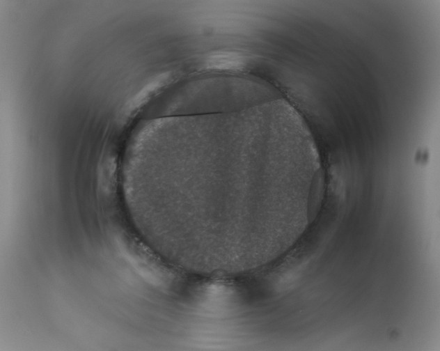 X0000112850308200909181743