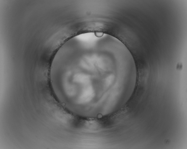 X0000112850309200909181743