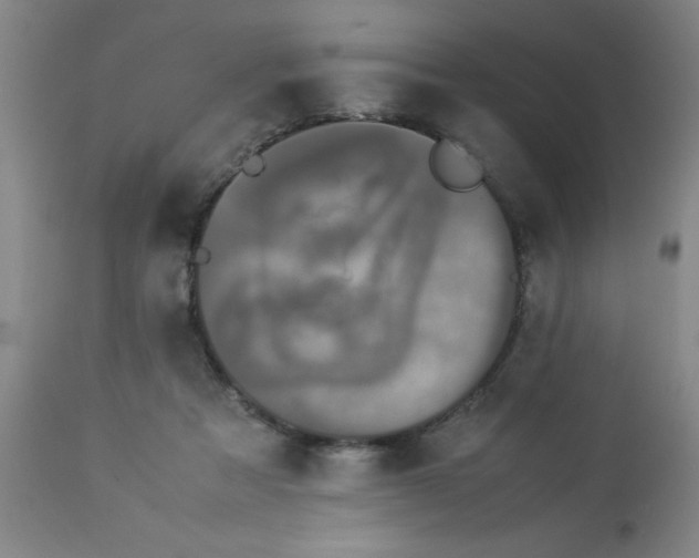 X0000112850313200909181743