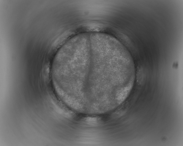 X0000112850314200909181743