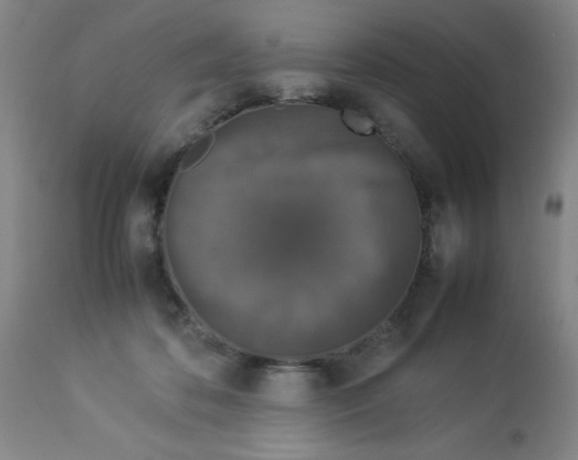 X0000112850316200909181743