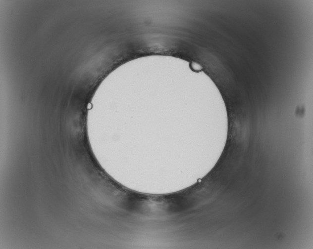 X0000112850317200909181743