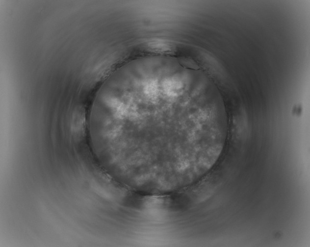 X0000112850320200909181742