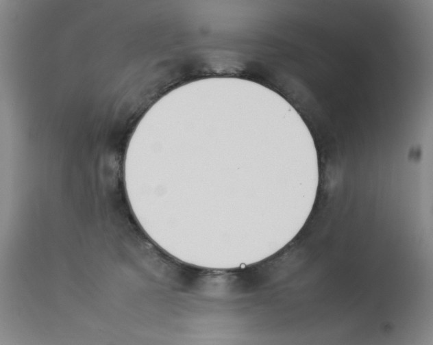 X0000112850321200909181742