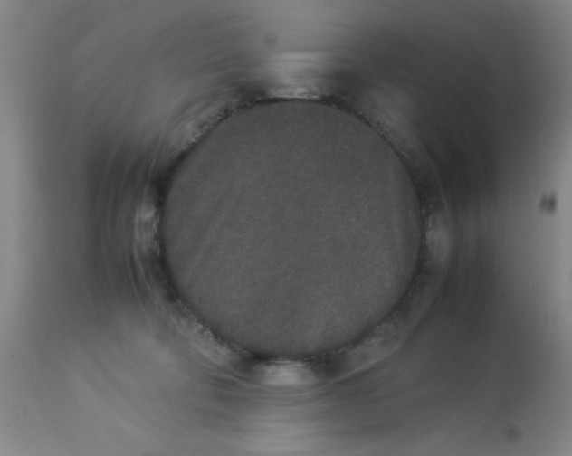 X0000112850322200909181742