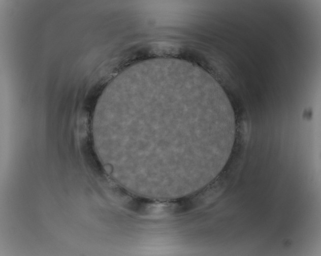 X0000112850323200909181742