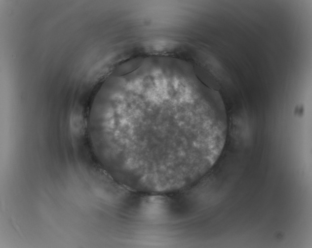 X0000112850324200909181742