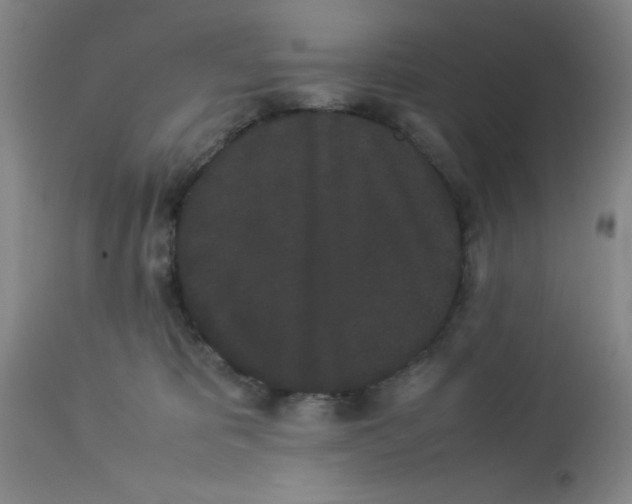 X0000112850325200909181742