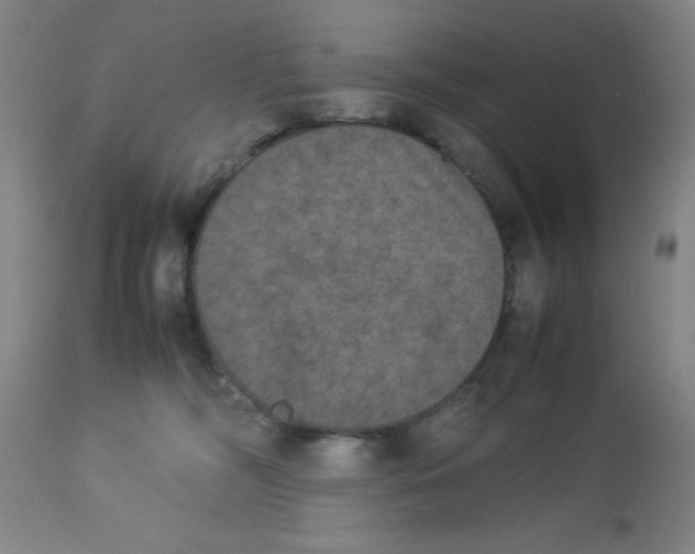 X0000112850326200909181742