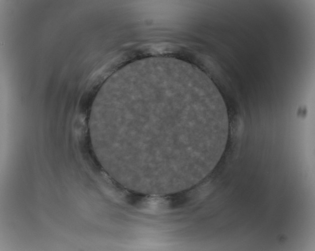 X0000112850327200909181742