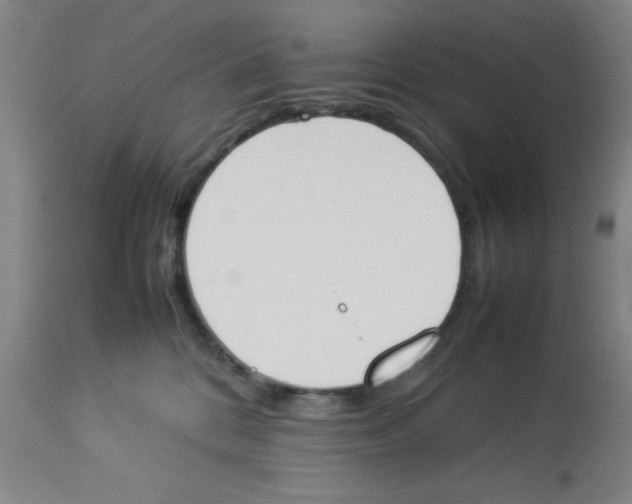 X0000112850328200909181742