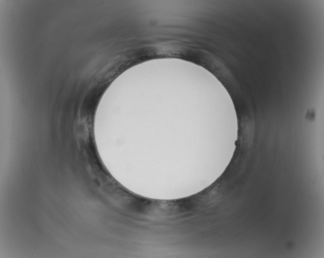 X0000112850329200909181742