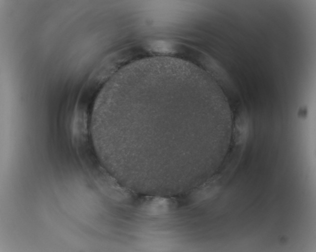 X0000112850330200909181742