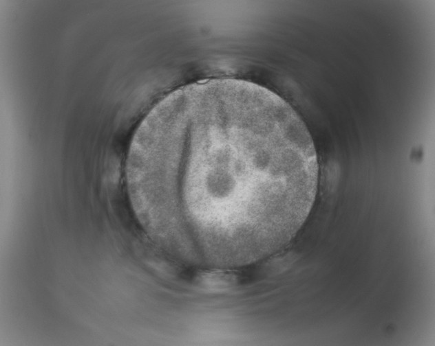 X0000112850331200909181742