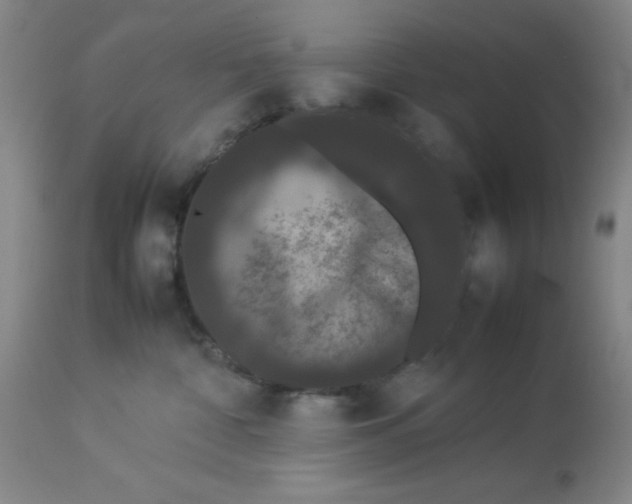 X0000112850332200909181742