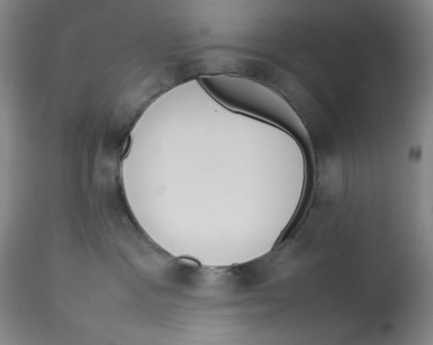 X0000112850333200909181742