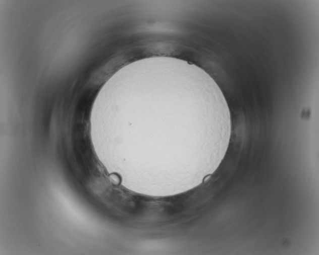 X0000112850334200909181742