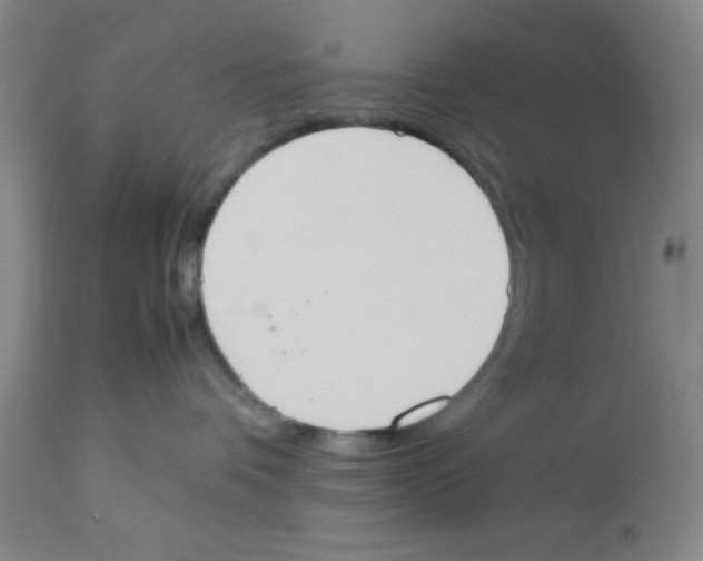 X0000112850336200909181742